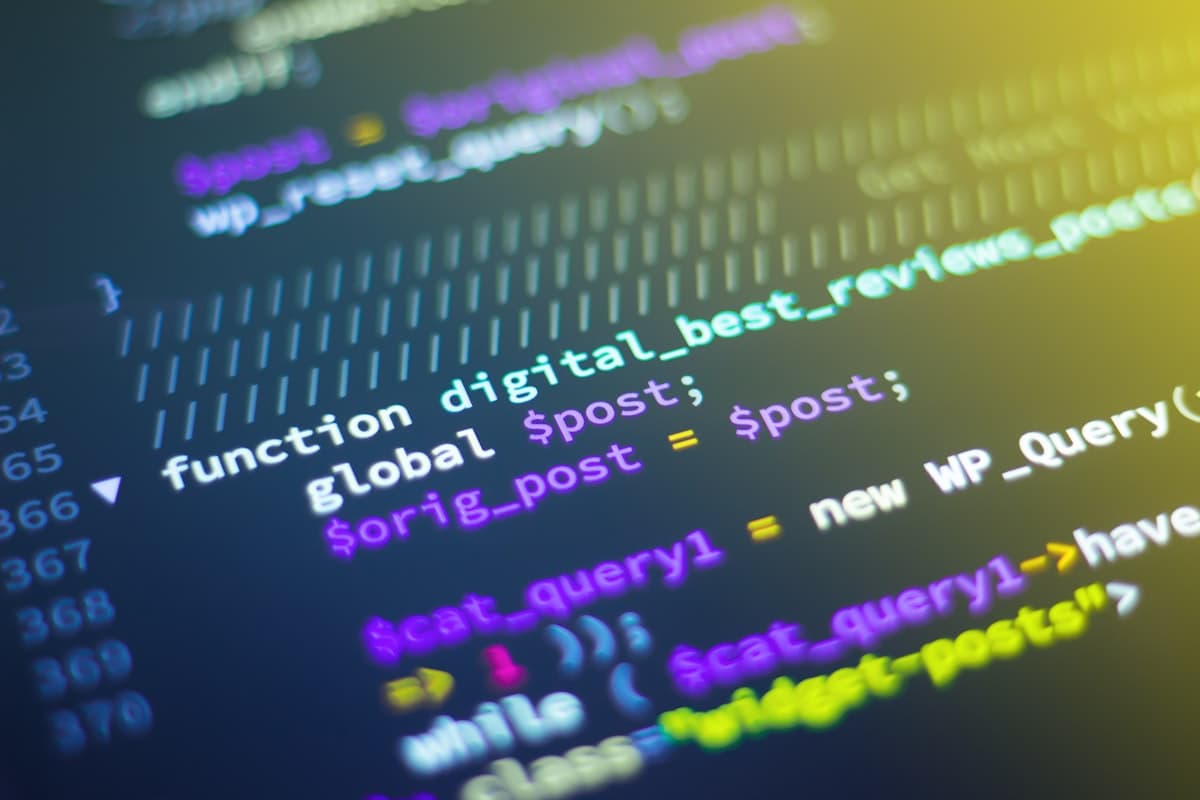 Source code on a screen being inspected